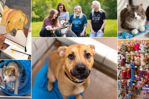 A variety of ways to help support AHS this holiday season