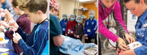 Collage of students participating in Future Vet Workshop
