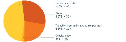 2023 Annual Report Intake by reason pie chart