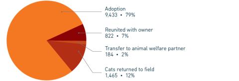 2023 Annual Report Placement type pie chart