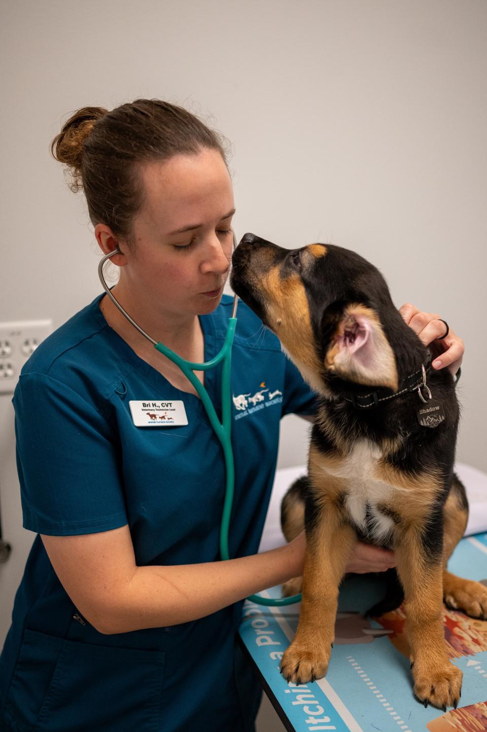 vaccine clinic at Animal Humane Society