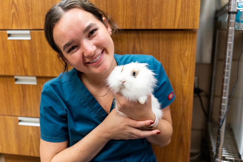 A vet tech at Animal Humane Society holds a fluffy white rabbit