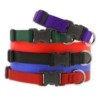 Collars