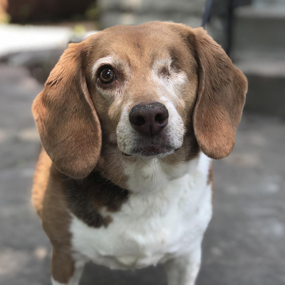 Ethel