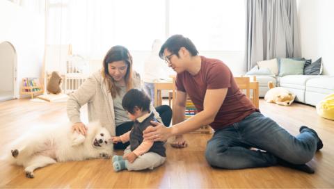 A family sits with their child and dog at home