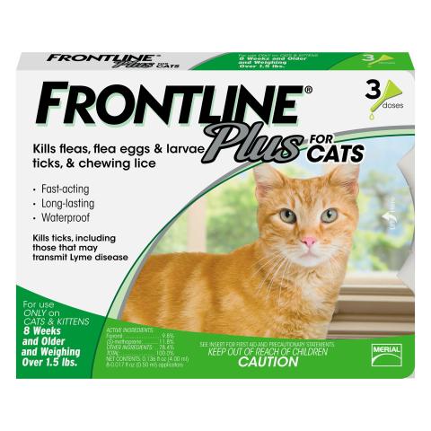 Frontline for cats