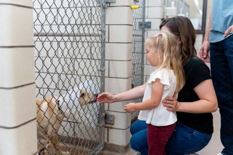 A mom and her child reach out to a dog in a kennel in a shelter and the dog lick s the mom's hand