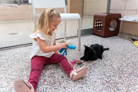 A little girl sits on the floor and offers a toy to a black kitten