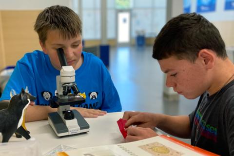 Two students doing a science related project at AHS summer camp. 