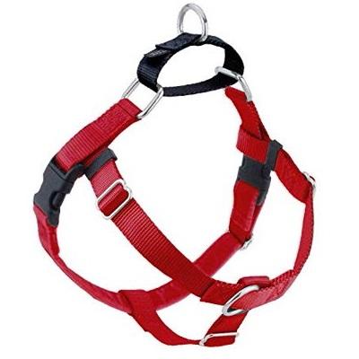 Harness