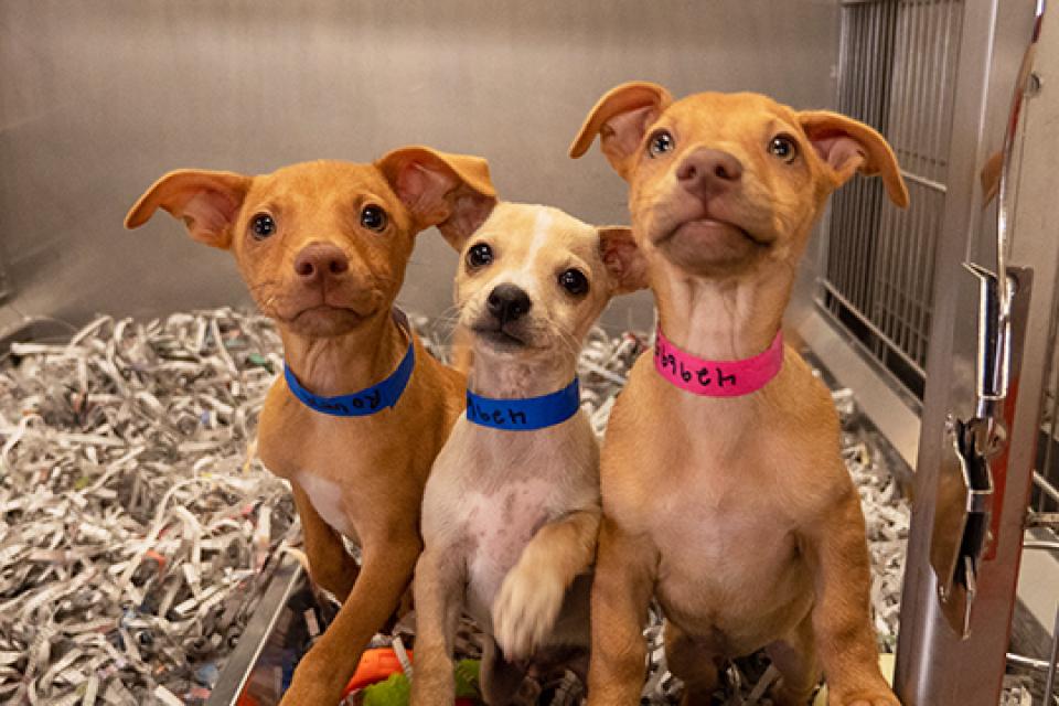 Herbert, Roger, and Kathy