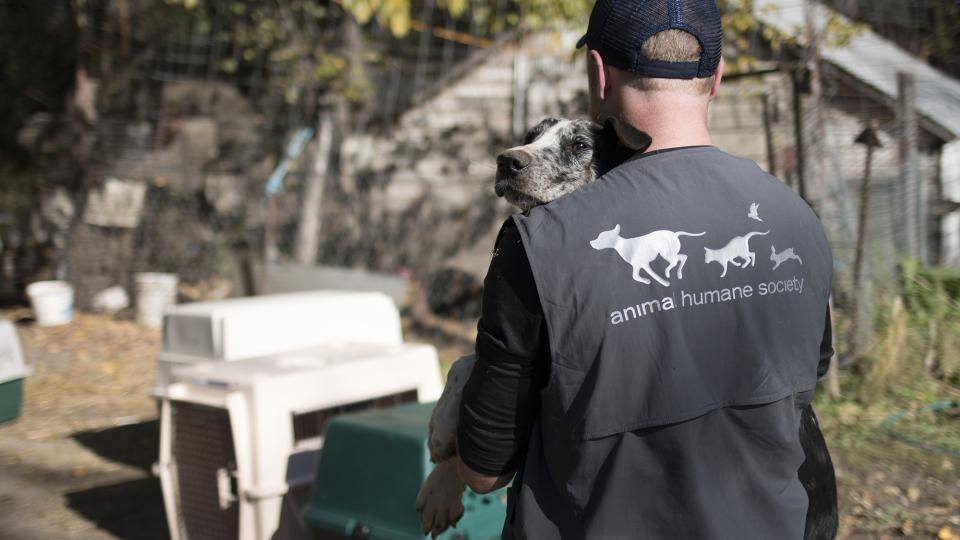 AHS Humane Investigations team