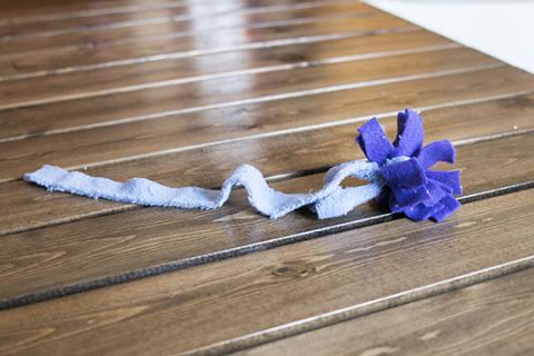 Cat toy