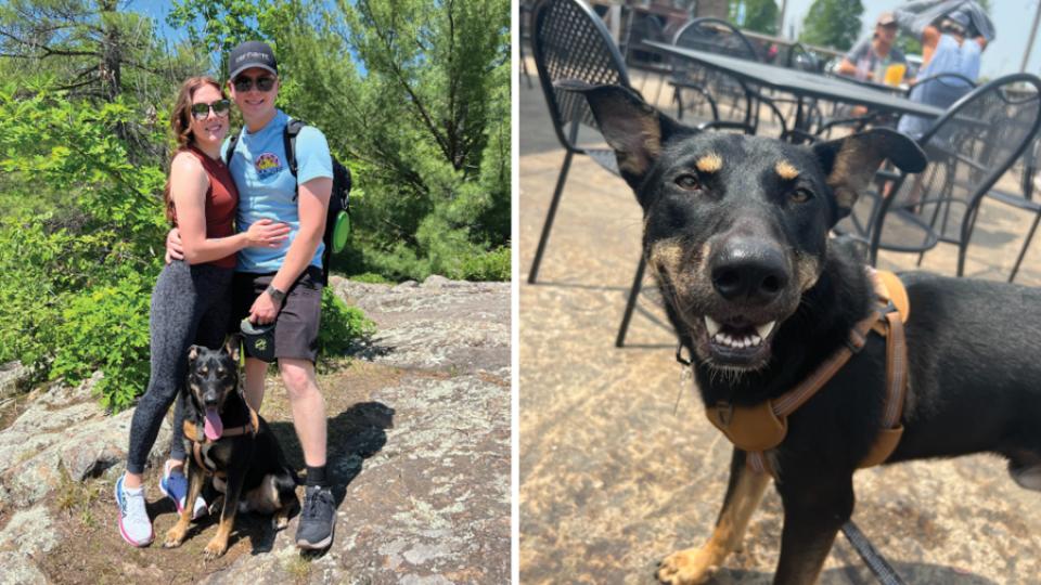 Linus, a black and tan dog, who was adopted from AHS, is pictured with owners on a hike.