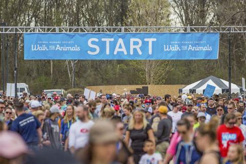 Walk for Animals