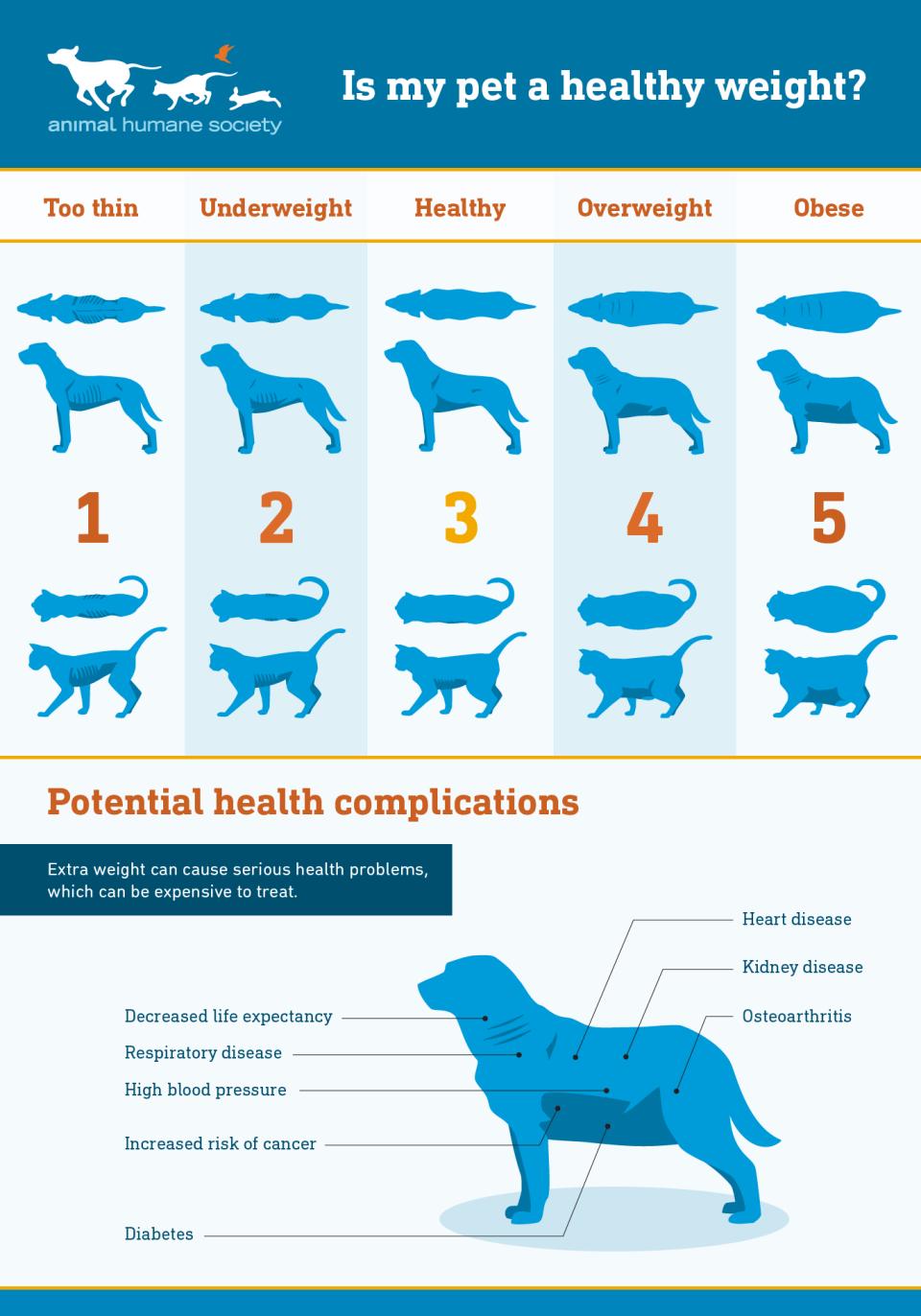 Is my pet a healthy weight