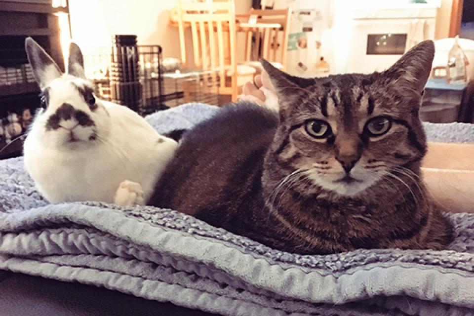 Pip and Peach