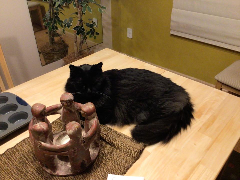 A black cat lays on a dining table