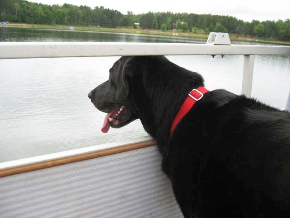 Rocky, on the lake