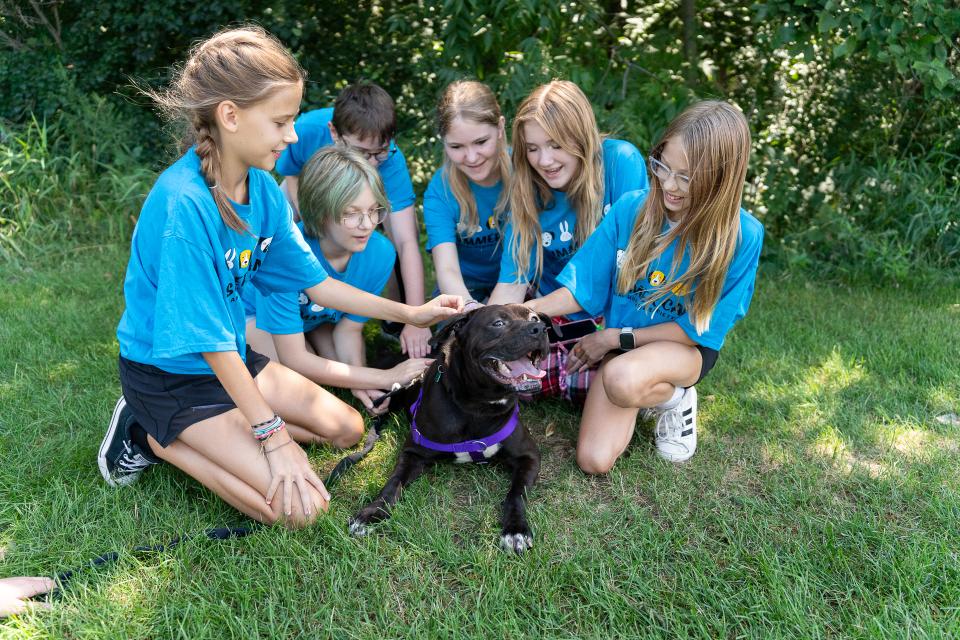 Summer camp at Animal Humane Society