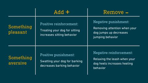 Examples of different training operants
