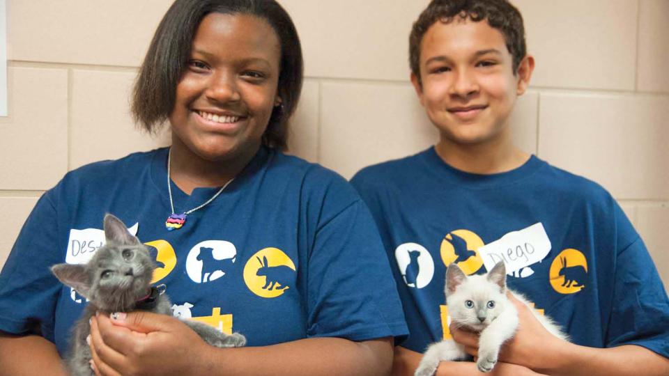 Unleashed campers holding kittens