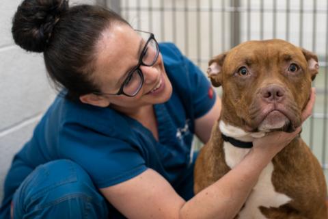 AHS vet tech with dog