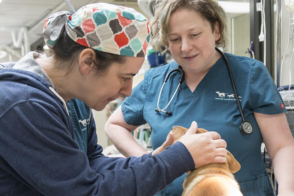 AHS Vet Centers