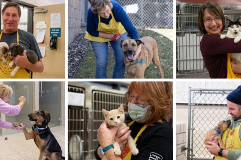 Collage of AHS volunteers with animals