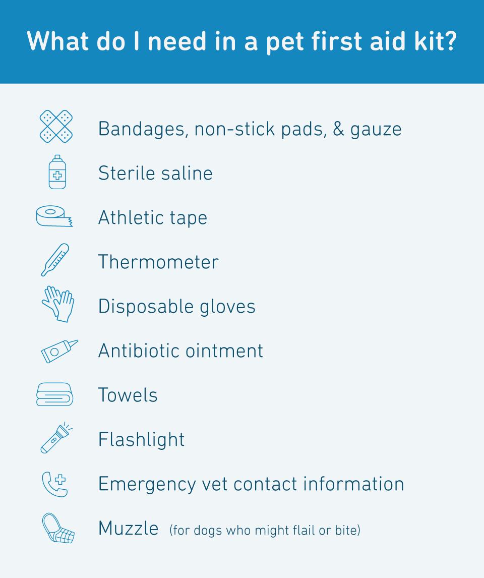 A list of items to include in a pet first aid kit, such as bandages, sterile saline, athletic tape, thermometer, and disposable gloves