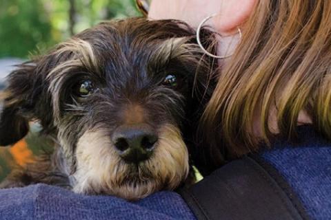 A woman holding a small dog on her shoulder at an AHS Community Outreach event