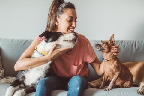 Young woman on couch with three dogs