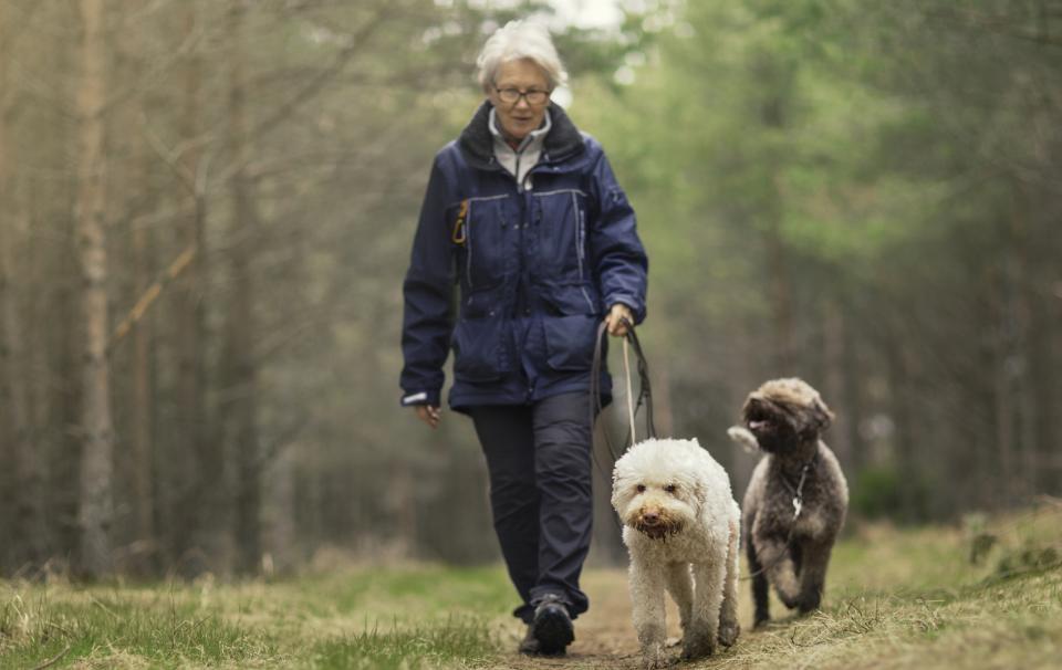 Woman walking two dogs in wooded area